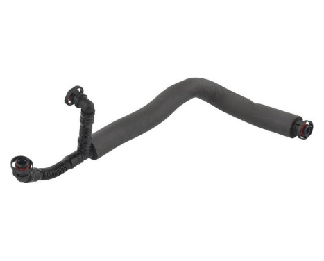 Hose, cylinder head cover breather