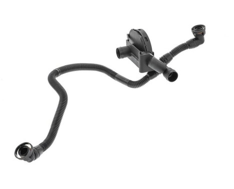 Hose, cylinder head cover breather