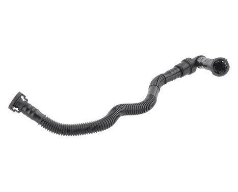 Hose, cylinder head cover breather