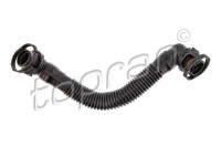Hose, cylinder head vent