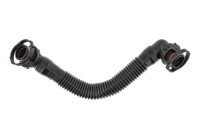Hose, cylinder head vent
