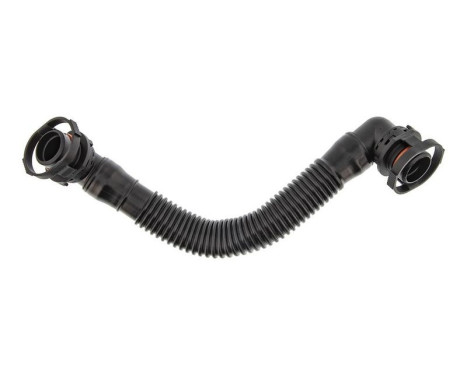 Hose, cylinder head vent