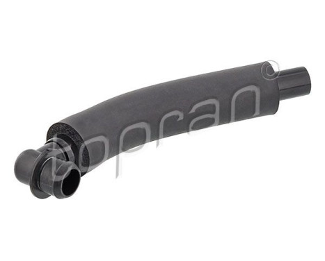 Hose, cylinder head ventilation
