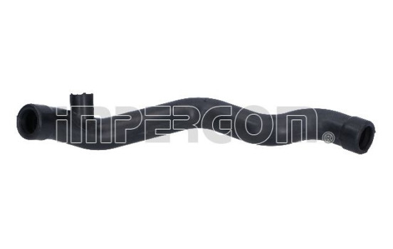 Hose, cylinder head ventilation