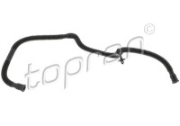 Hose, cylinder head ventilation