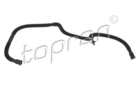 Hose, cylinder head ventilation