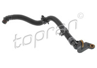 Hose, cylinder head ventilation