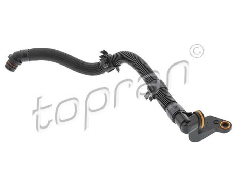 Hose, cylinder head ventilation