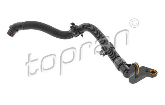 Hose, cylinder head ventilation