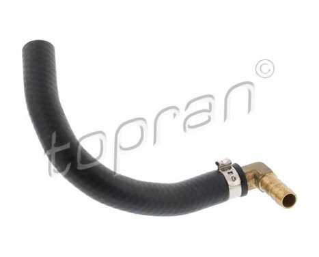 Hose, cylinder head ventilation