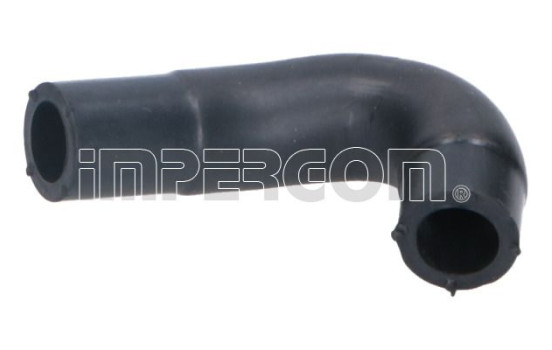 Hose, cylinder head ventilation