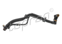 Hose, cylinder head ventilation