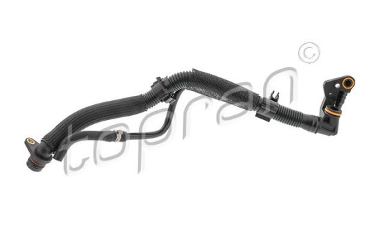 Hose, cylinder head ventilation