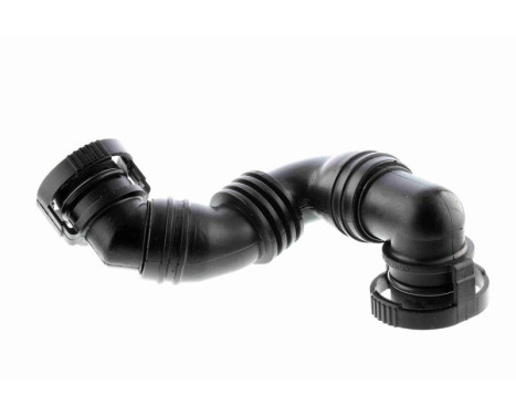 Hose, cylinder head ventilation