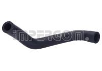 Hose, cylinder head ventilation