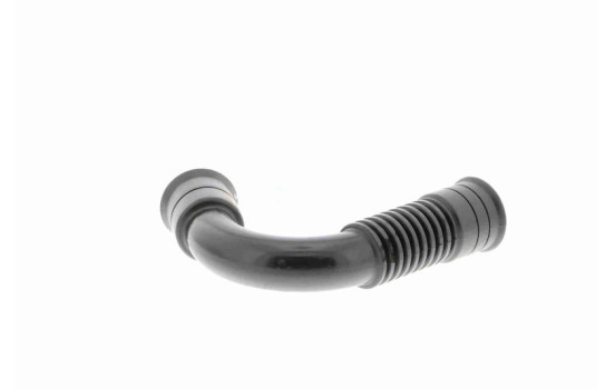 Hose, cylinder head ventilation, Image 5
