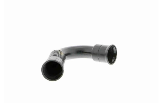 Hose, cylinder head ventilation, Image 8