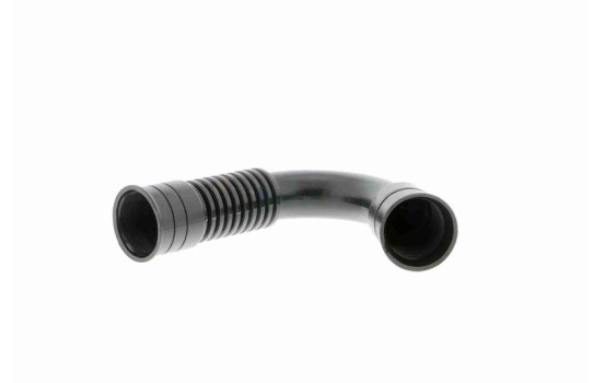 Hose, cylinder head ventilation, Image 9