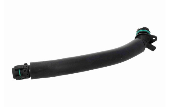 Hose, cylinder head ventilation, Image 2