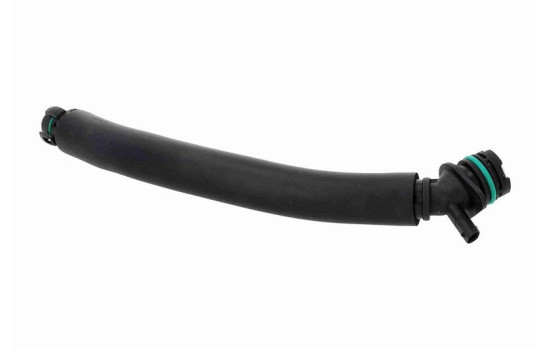 Hose, cylinder head ventilation, Image 4