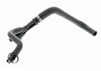 Hose, cylinder head ventilation