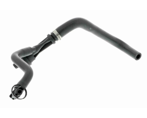 Hose, cylinder head ventilation