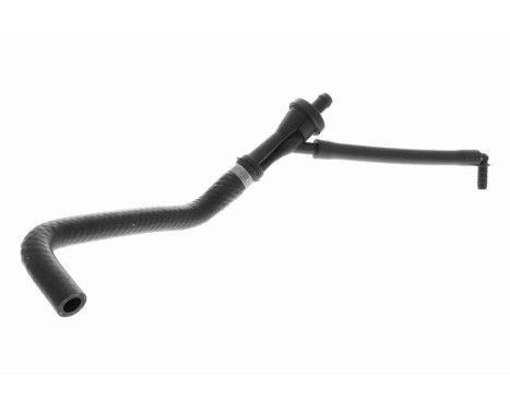 Hose, cylinder head ventilation, Image 3