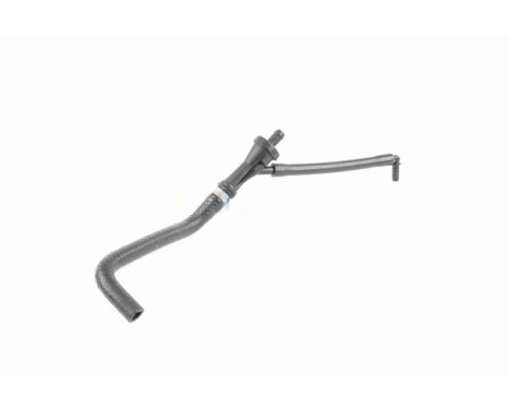 Hose, cylinder head ventilation, Image 11