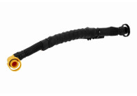 Hose, cylinder head ventilation