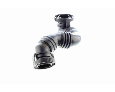 Hose, cylinder head ventilation, Image 5