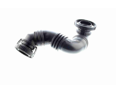 Hose, cylinder head ventilation, Image 6
