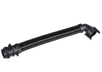 Hose, cylinder head ventilation