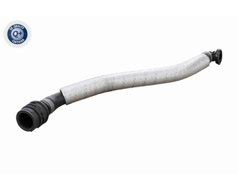 Hose, engine block breather
