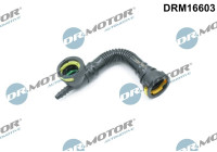 Hose, engine block ventilation