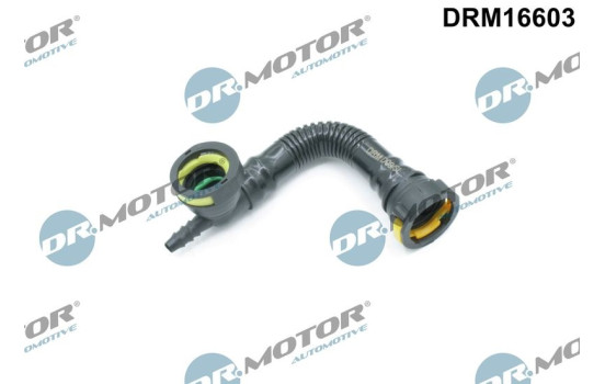 Hose, engine block ventilation