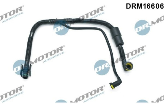 Hose, engine block ventilation