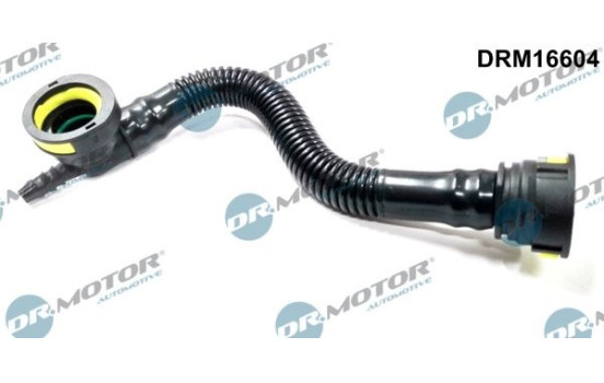 Hose, engine block ventilation