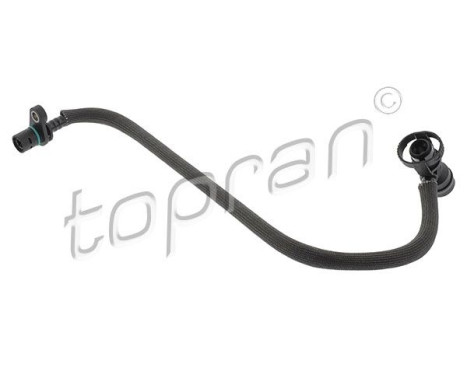 Hose, engine block ventilation