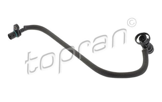 Hose, engine block ventilation