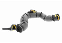 Hose, engine block ventilation