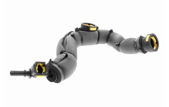 Hose, engine block ventilation
