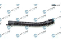 Hose, engine block ventilation