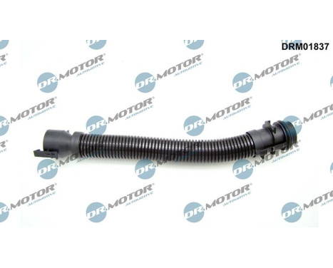 Hose, engine block ventilation