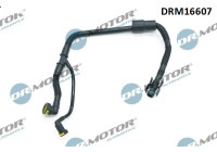 Hose, engine block ventilation