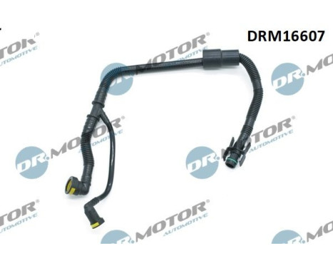 Hose, engine block ventilation