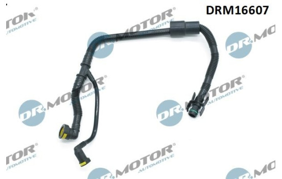 Hose, engine block ventilation