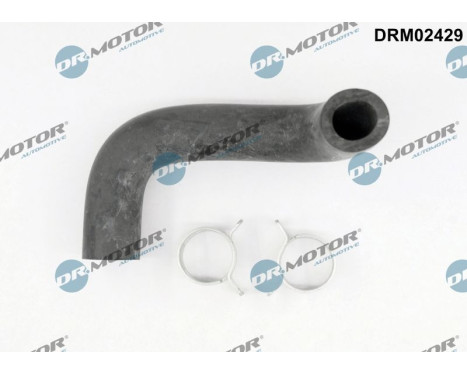 Hose, engine block ventilation