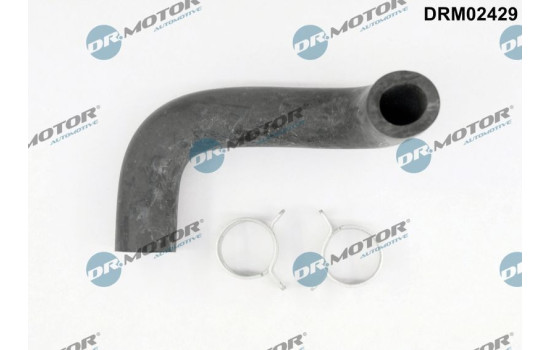 Hose, engine block ventilation
