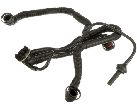 Hose, engine block ventilation