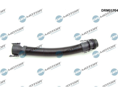 Hose, engine block ventilation